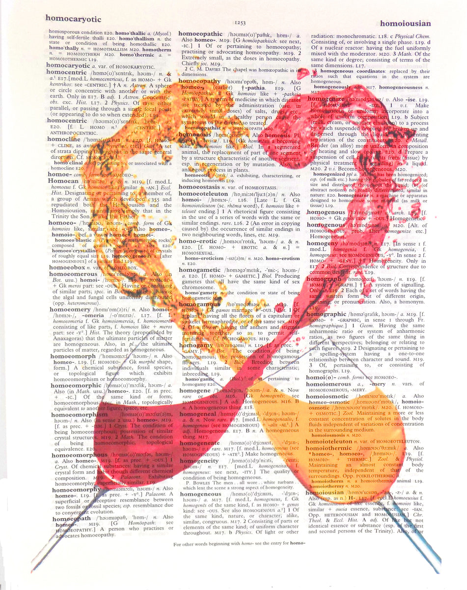 Art N Wordz Lovebirds Cardinals Dictionary Page Pop Art Wall or Desk Art Print Poster AW00551