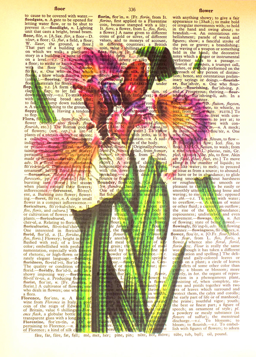 Art N Wordz Carnation Flowers Original Dictionary Sheet Pop Art Wall or Desk Art Print Poster AWD_Carnation