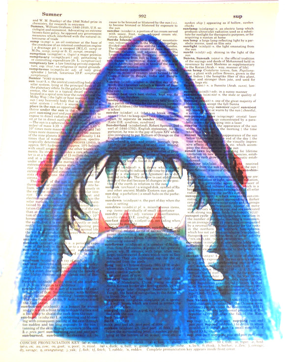 Artnwordz Shark Attack Dictionary Page Art